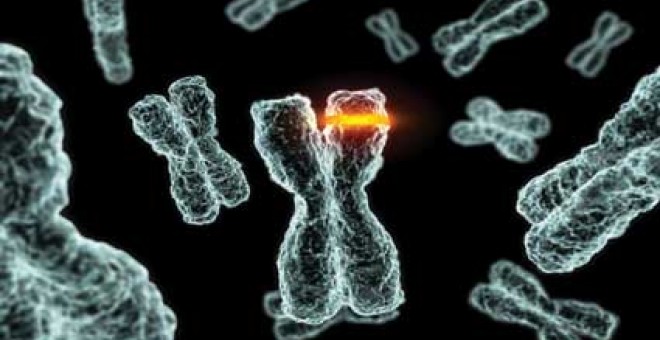 Científicos descubren que el ADN 'basura' determina la evolución del cáncer | Público