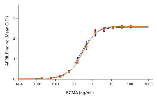 Datos de ensayo de bioactividad que muestran la unión de diferentes concentraciones de tres lotes diferentes de proteína recombinante humana BCMA Fc quimera Atto 647N o la proteína recombinante humana BCMA Fc quimera sin marcar a recombinante humano APRIL. Los datos demuestran una bioactividad consistente entre las proteínas marcadas con fluorescencia y las no marcadas y una consistencia de lote a lote en la bioactividad de los diferentes lotes de la proteína marcada con fluorescencia.