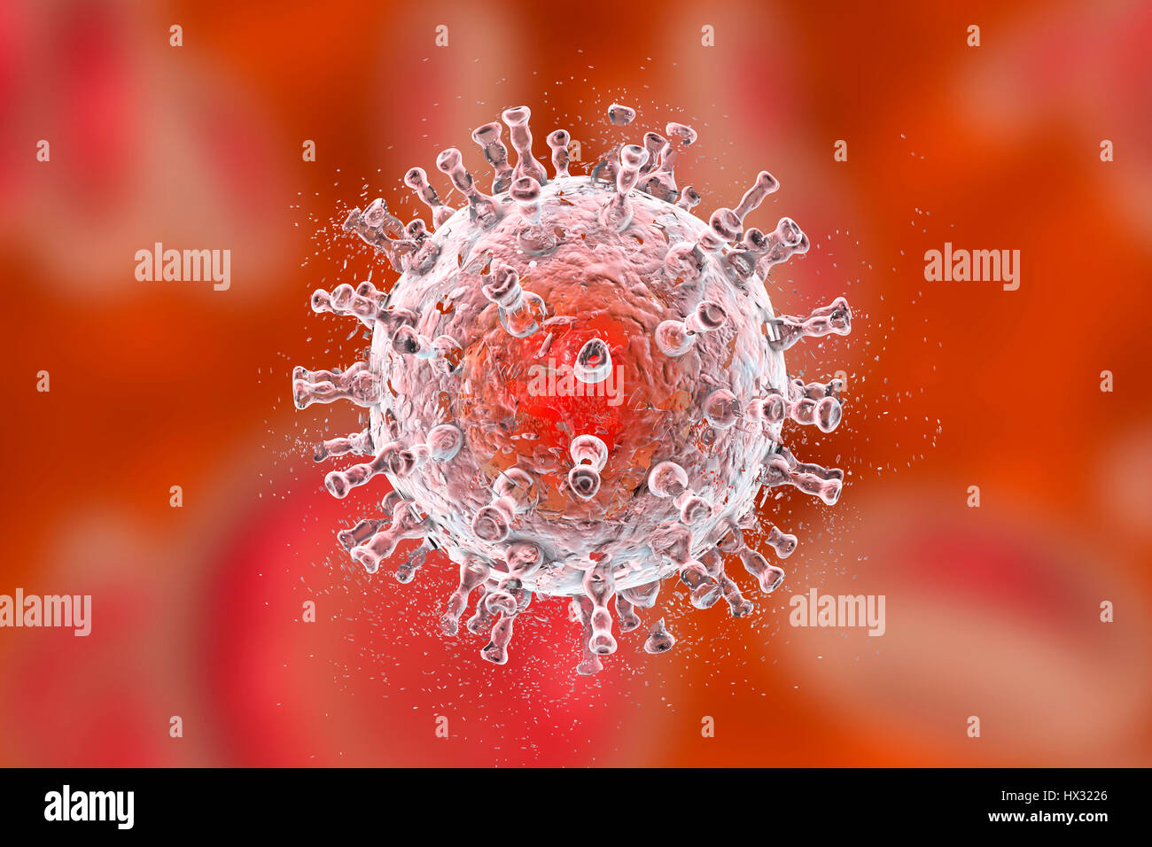 Herpesvirus Fotos e Imágenes de stock - Alamy