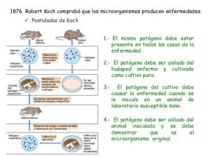 Teoria De Los Germenes Enriquerubio Net