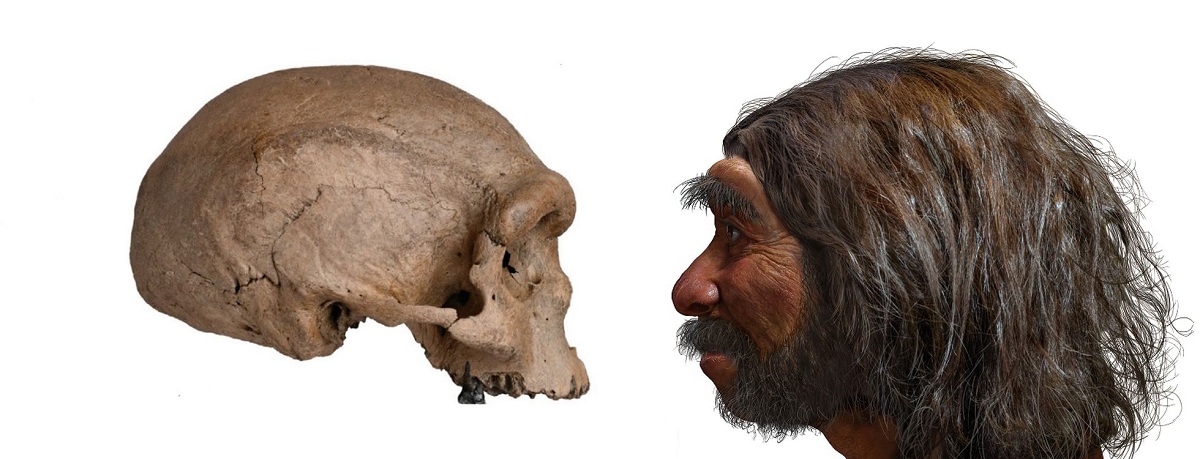 Homo erectus: características, origen, evolución y rasgos | Meteorología en Red