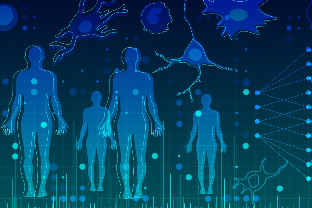 Integración computacional de perfiles de una sola célula y genética para identificar genes de enfermedades y tipos de células en todo el cuerpo humano. Foto: Aviv Regev and Anna Hupalowska, Human Cell Atlas