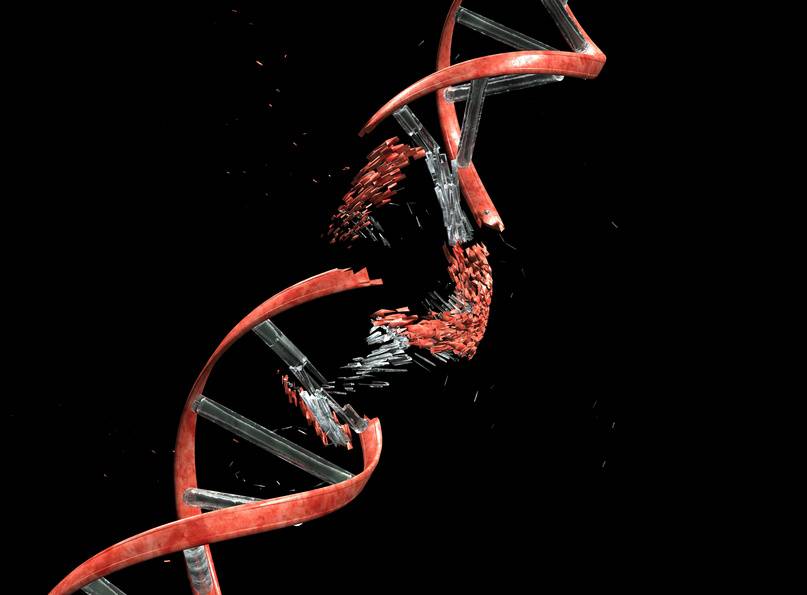La causa de muchos cánceres son errores en el 'corrector' del ADN