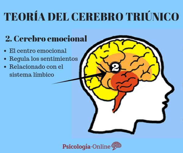 La teoría del cerebro triuno de MacLean - El cerebro emocional o límbico 