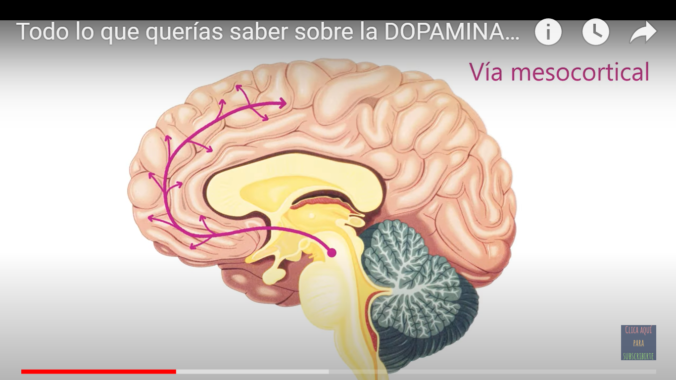 DOPAMINA – Enriquerubio.net